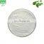 90%Asiaticosides Gotu kola extract powder for cosmetic