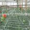 Heavy Duty Plant Trellis Net Garden Netting for Climbing Plant Support Net