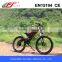 250W/500W powerful electric bike, electric bike kit, electric mountain bikes                        
                                                                Most Popular