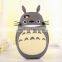 Fashion 3D Totoro Case For iPhone 5s ,for iPhone 5s Silicone Phone Cases