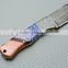 CITIZEN KNIVES, BEAUTIFUL CUSTOM HAND MADE DAMASCUS STEEL HUNTING KNIFE