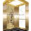 luxury MRL home elevator