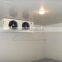 Cold Room PU Sandwich Panel Freezer Room With Hinge Doors
