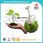 Green glass botthe with garden sprayer for plant sprayer