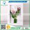 Greenflower 2016 Оптовая продажа 3D картины с маками на стене, группа. Фабрика по производству искусственных растений, художественных и ремесленных изделий. Декорации для дома