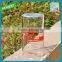 2015 hot sales thin glass bottle wholesale crystal glass jars for food