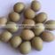leeho brand Phasianus colchicus incubator machine with50688 eggs
