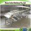 walnut onion jujube sorter grading machine