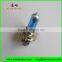 Superwhite Auto Bulb H4 P43t Halogen Bulb