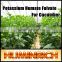 FAQ 3--How To Use Potassium Humate Fulvic Fertilizer To Solve The Problem Of Cucumber Wilt ?
