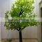 Outdoor decoration nature ginkgo led tree lights outdoor hanging tree light outdoor tree up lights                        
                                                                                Supplier's Choice