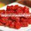 Supply AD Dried sweet dried cherry-tomato with good quality