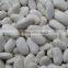 larger white kidney beans with excellent quality HOT SALE