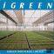 Commercial greenhouse seeding bench