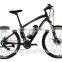 Buy Chinese Mid Motor Pedal Assisted Electric Bike for Sale