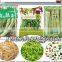 vegetable nitrogen flushing packaging machine