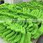 3mm surf glove sport glove hunting glove