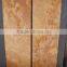 Teakwood Sandstone