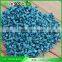 Free Samples!!!wholesaler recyecled Blue/Green color pvc granules for Slipper