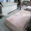 1220x 2440x 12mm 18mm furniture grade poplar plywood for sale