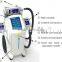 Cooling summer supply Cooplas CE approved Cryo Lipolisis salon use anti cellulite slimming machine