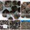 Chinese Black Truffle price