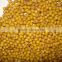 JSX newly crop small soybean round shape yellow soya bean