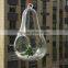 Wholesale Clear Pear Shape Glass Vase Landscape Bottle Hanging