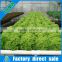 Tiled square hydroponic trays/ hydroponic growing systems