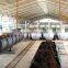 2017 factory supply CPO crude Palm fruit sterilizer tank for palm oil press