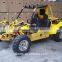beach buggy price
