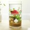 Simple cheap tall home wedding decor cylinder flower glass vase