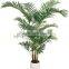 SJ12000357 artificial palm plant ,decorative areca palm,indoor royal palm bonsai plant