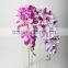 Single blooming Orchid artificial orchid flower decorative orchid flowers Manufacturer