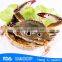 HL004 BQF frozen whole crab on sale