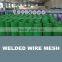 china anping factory high quality PVC Coating square welded Wire Mesh with green color