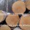 Birch logs, veneer and furniture grade, AB Quality