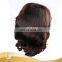 High Quality Virgin Brazilian Hair Lace Frontal Wig