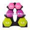 Harbour New Gym Fitness Custom Cheap Neoprene Sport Dumbbell Set