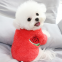 Amazon Hot Style Animal Accessories Dog Fashions Pet Clothes Winter Warm Clothing Low MOQ