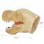 Soft Vinyl Custom Baby T-Rex Dinosaur Hand Puppet Original Design Role Play Tyrannosaurus Rex Dinosaur Toys