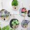 Modern simple metal simulation plant wall decoration creative home wall decoration flower basket pendant round shelf