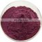 Supply pure blueberry extract powder 30% Natural Blueberry anthocyanins