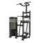 Dip Chin Assist mutli function station price gym fitness sets gymnastics other bike gym equipment sales