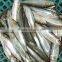 Frozen Sardine from Chinese Manufacture