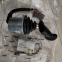 Rouleau Bomag 05561732, manette de commande, manette de fonctionnement