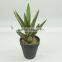 Factory Price New Design Artificial Succulent Plants For Sale