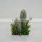 New arrival decorative artificial plants/ succulent plants mixed series