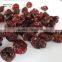 dried sour cherry