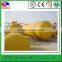 New coming High Reflective lpg storage semi tanker lpg gas tank